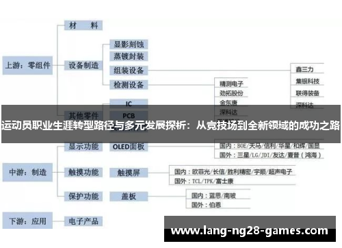 运动员职业生涯转型路径与多元发展探析:从竞技场到全新领域的成功之路
